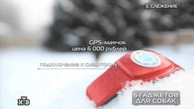 GPS-ошейник X-pet стал главным открытием передачи «Чудо техники»