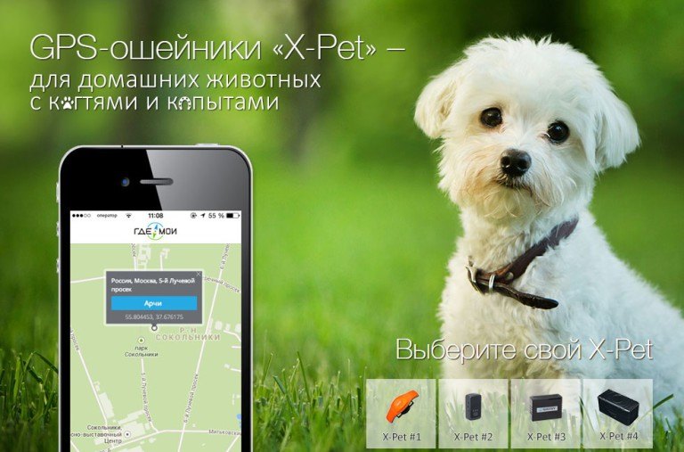 GPS-трекинг питомцев становится всё популярнее