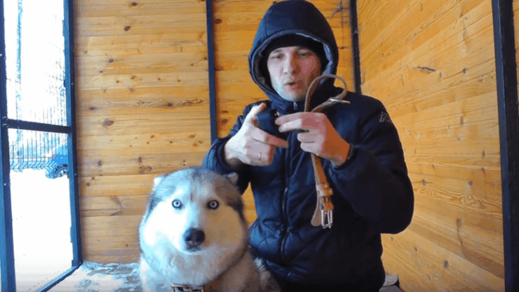Видео-блогеры искали хаски с GPS-трекером X-Pet-2