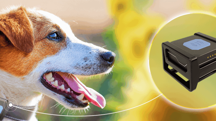 X-Pet1