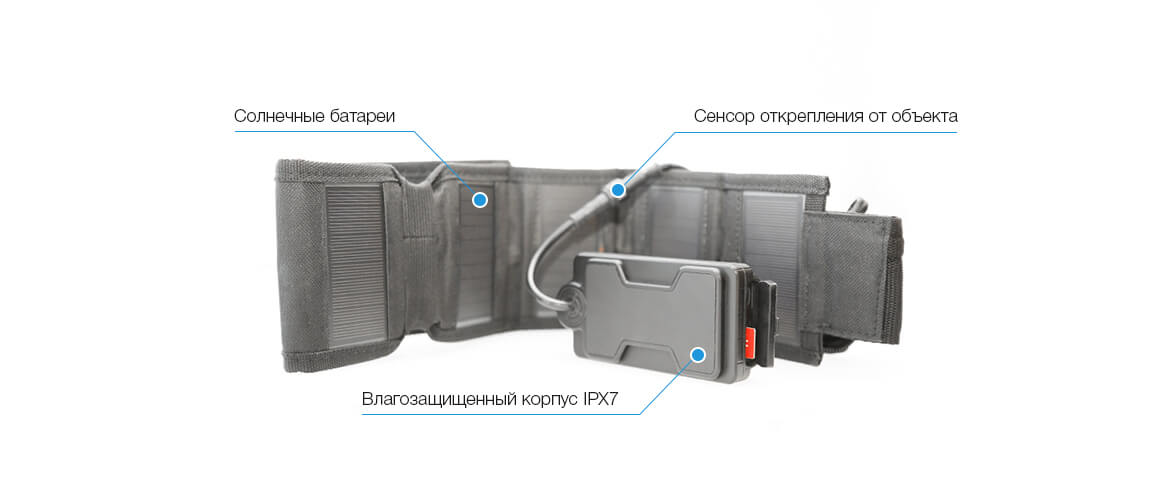 GPS-ошейник с солнечными панелями