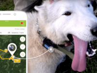 Блогер протестировал X-Pet 1 в полевых условиях Блогер протестировал X-Pet 1 в полевых условиях
