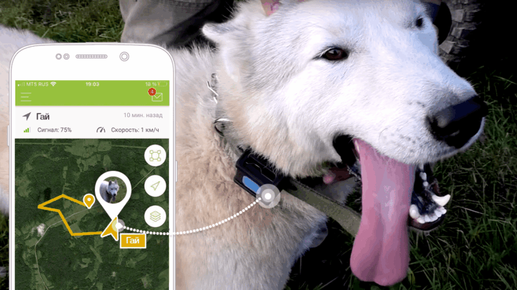 Блогер протестировал X-Pet 1 в полевых условиях