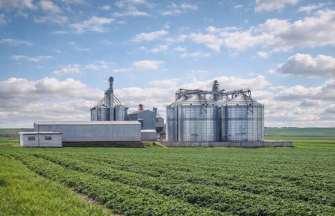 Контроль зерна в зернохранилище