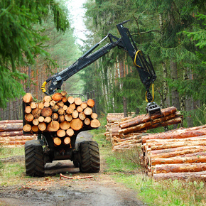 Частным лицам