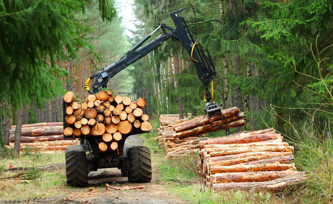 Лесная техника Зачем нужен контроль лесной техники